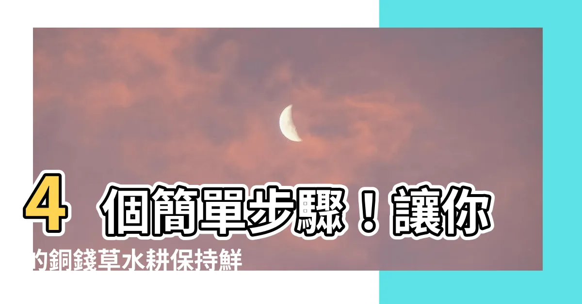 【銅錢草水耕】4個簡單步驟！讓你的銅錢草水耕保持鮮綠高貴的造型