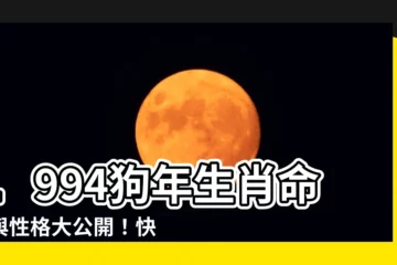 【1994狗】1994狗年生肖命運與性格大公開！快來解鎖屬狗者的運勢密碼