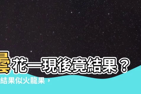 【曇花會結果嗎】曇花一現後竟結果？7年結果似火龍果，專家：罕見神奇！