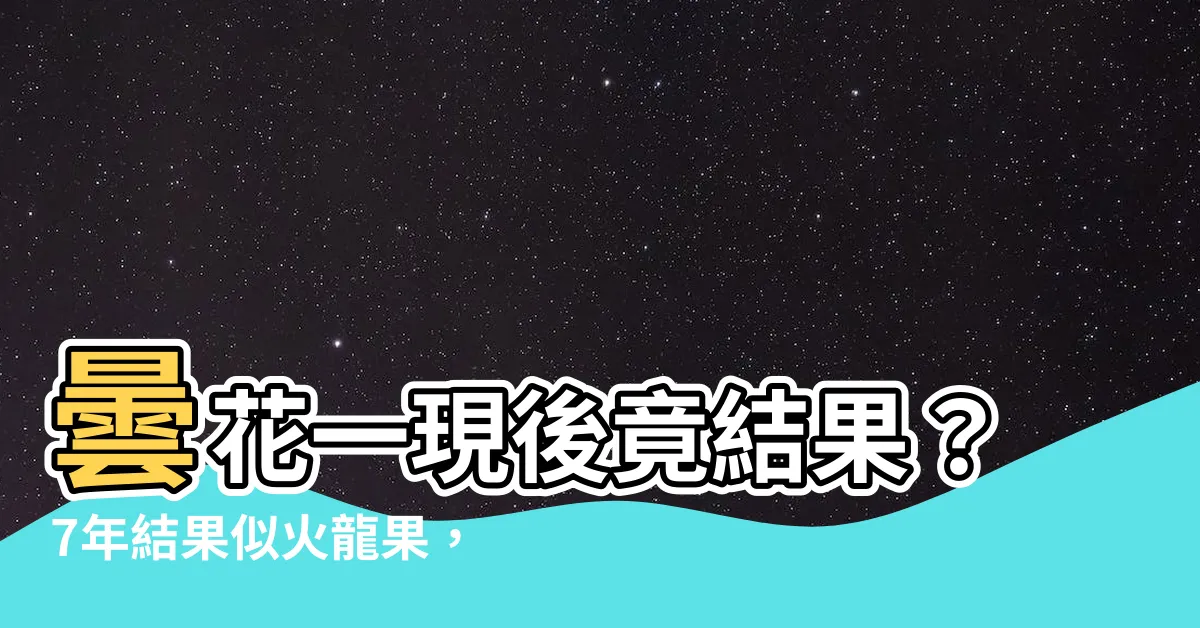 【曇花會結果嗎】曇花一現後竟結果?7年結果似火龍果,專家:罕見神奇!