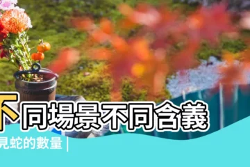 【女人夢見好多蛇遊向自己】不同場景不同含義 |夢見蛇的數量 |夢見蛇的各種解説 |