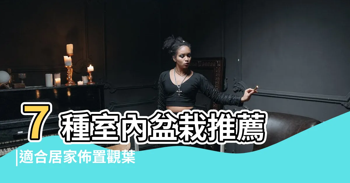 【高身植物】７種室內盆栽推薦 |適合居家佈置觀葉植物在這 |家居裝飾 |