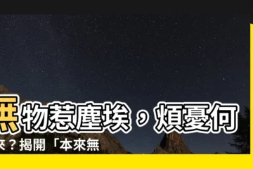 【本來無一物何處惹塵埃用法】無物惹塵埃，煩憂何處來？揭開「本來無一物」的人生哲理