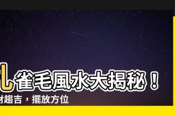 【孔雀毛 風水】孔雀毛風水大揭秘！招財趨吉，擺放方位有玄機