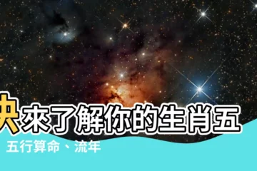 【生肖五行查詢】快來瞭解你的生肖五行！五行算命、流年運程、屬相查詢一次滿足