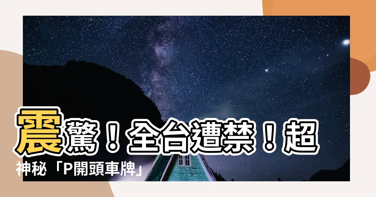 【p開頭的車牌】震驚！全台遭禁！超神秘「P開頭車牌」竟然要登陸！