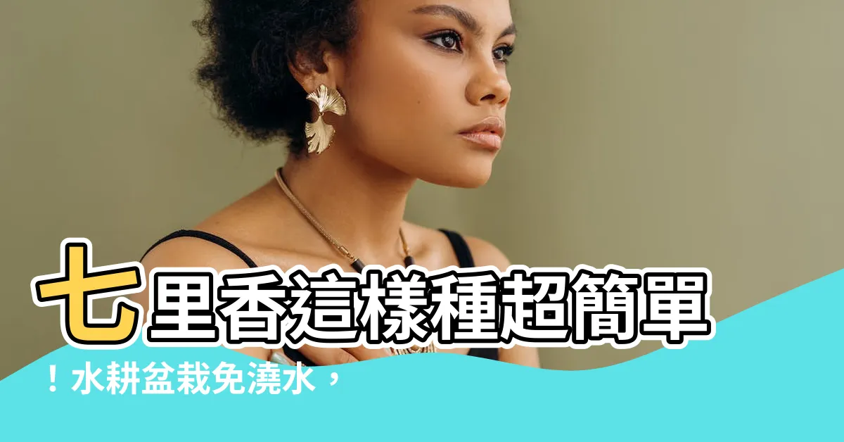 【七里香水耕】七里香這樣種超簡單！水耕盆栽免澆水，觀葉還能淨化空氣！