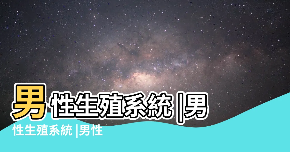 【男人生殖系統】男性生殖系統 |男性生殖系統 |男性生殖系統結構 |