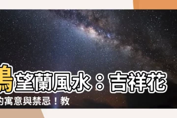 【鶴望蘭風水】鶴望蘭風水：吉祥花朵的寓意與禁忌！教你如何擺放提升貴人運！