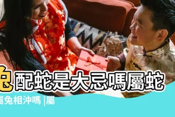 【男屬蛇和兔子相配嗎】兔配蛇是大忌嗎屬蛇和屬兔相沖嗎 |屬兔男人和屬蛇女人相配嗎 |屬蛇男人和屬兔女人相配嗎 |