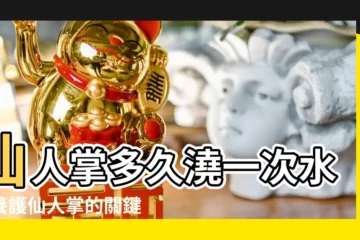 【仙人掌多久澆一次水】仙人掌多久澆一次水？養護仙人掌的關鍵秘訣揭曉！