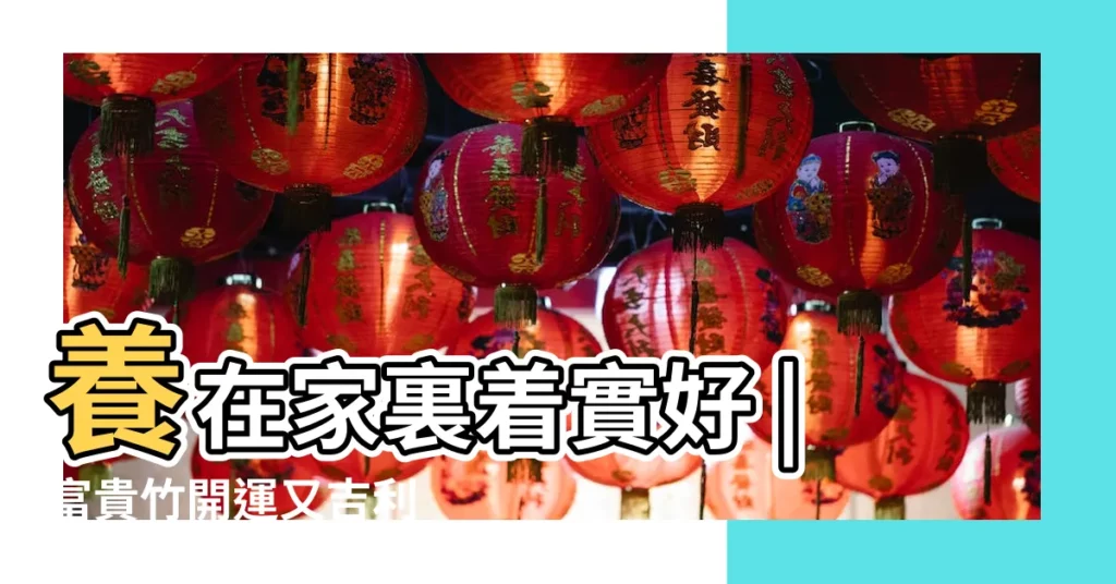 養在家裏着實好 |富貴竹開運又吉利 |但這幾個地方真不能放 |【門口擺放富貴竹好嗎】
