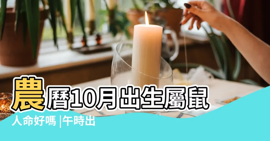 農曆10月出生屬鼠人命好嗎 |午時出生的屬鼠人命運如何 |屬鼠人一生命運走向 |【鼠生在十月午時】