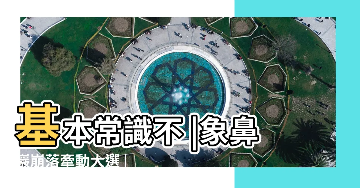 【高煜霖】基本常識不 |象鼻巖崩落牽動大選 |命理師抽籤預測2024選情解籤專家 |