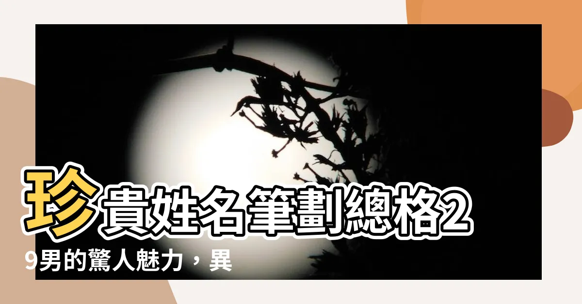 【總格29男】珍貴姓名筆劃總格29男的驚人魅力，異性緣將會爆表！