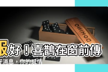 【喜鵲簷前報好音感情】報好！喜鵲在窗前傳達好消息，你的感情發展