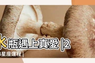 【2018年水瓶座最有好運】水瓶遇上真愛 |2018星座運程 |唐綺陽2018上半年星座運勢 |