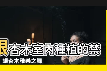 【銀杏木】銀杏木室內種植的禁忌：銀杏木雅樂之舞的照顧秘訣