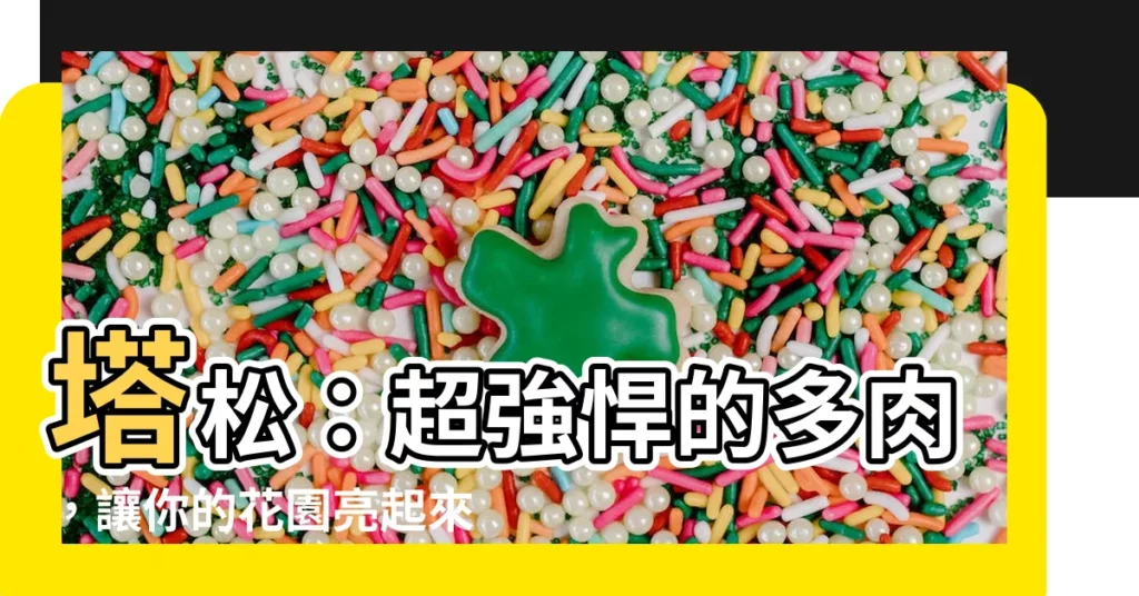 【塔松】塔松：超強悍的多肉，讓你的花園亮起來！