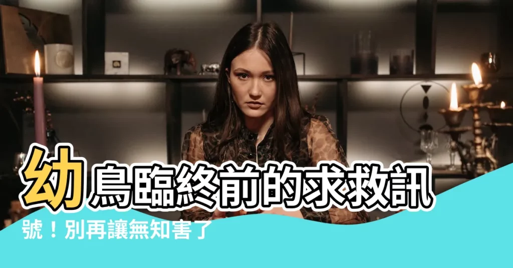 【幼鳥死前的徵兆】幼鳥臨終前的求救訊號!別再讓無知害了牠們的小命