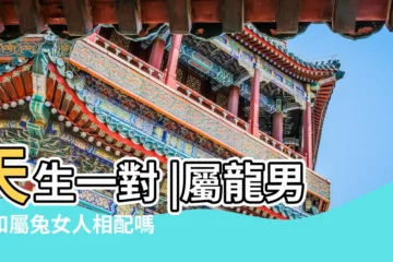 【生肖免和龍相配嗎】天生一對 |屬龍男人和屬兔女人相配嗎 |生肖兔和生肖龍的結婚 |