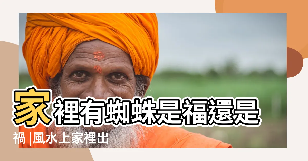 【家有蜘蛛 風水】家裡有蜘蛛是福還是禍 |風水上家裡出現蜘蛛預示什麼 |蜘蛛網的風水 |