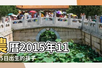 【2015年11月25號生孩子好嗎】農曆2015年11月25日出生的孩子生肖是羊還是猴 |2015年11月25日出生的人命好嗎 |是什麼命 |