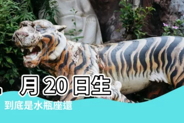 【1月二十日 星座】1 月 20 日生日！到底是水瓶座還是摩羯座？