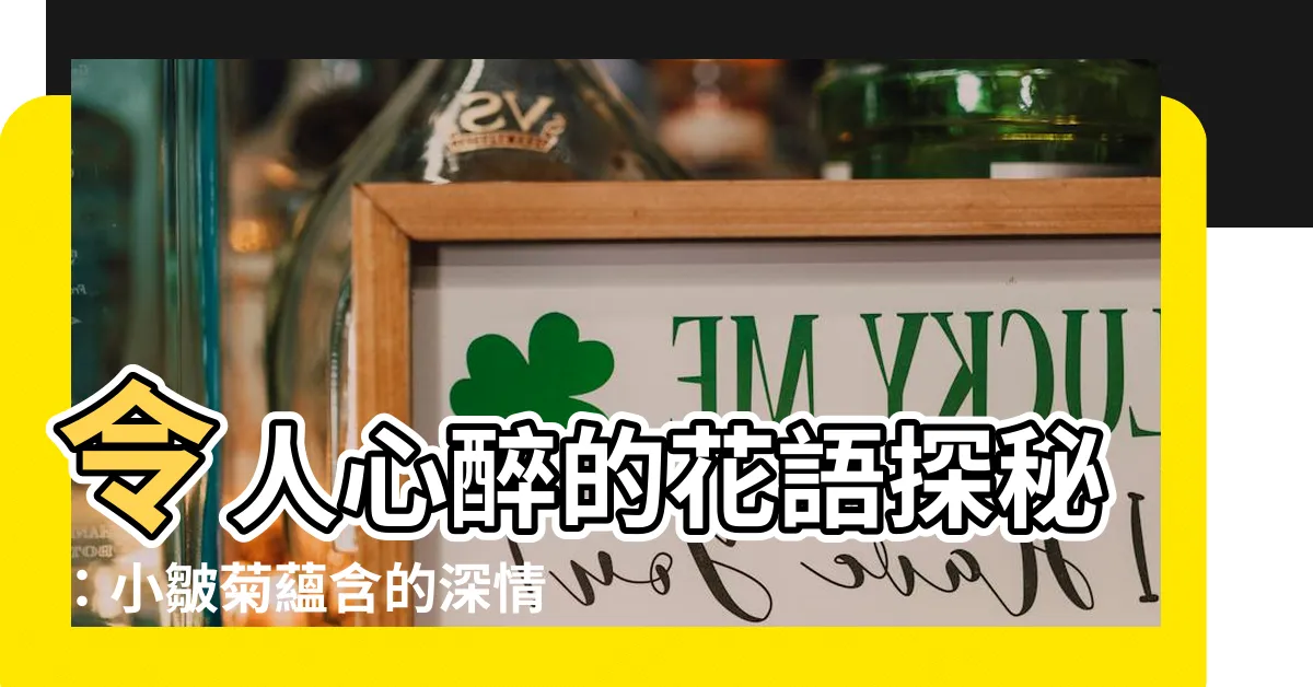 【小皺菊花語】令人心醉的花語探秘：小皺菊藴含的深情與悲傷