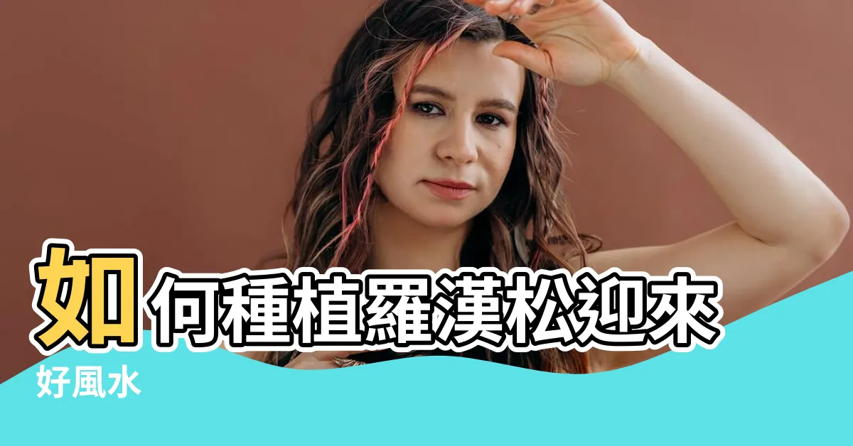 【羅漢松種植風水】如何種植羅漢松迎來好風水