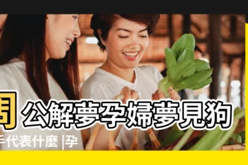 【孕婦夢見被狗咬傷手指頭】周公解夢孕婦夢見狗咬手代表什麼 |孕婦夢見被狗咬 |懷孕夢到狗咬自己手指 |