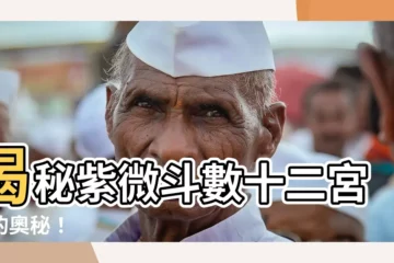 【紫微鬥數十二宮】揭秘紫微鬥數十二宮位的奧秘！