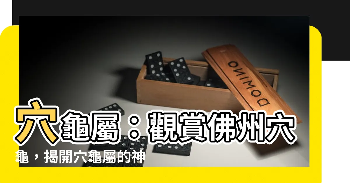 【穴龜屬】穴龜屬：觀賞佛州穴龜，揭開穴龜屬的神秘面紗！
