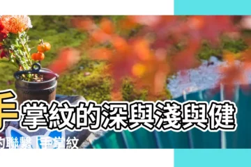 【女人掌紋深淺代表什麼】手掌紋的深與淺與健康的聯繫 |手掌紋的深淺與健康的聯繫 |掌紋清晰的女人命運怎樣手紋深的女人命運分析 |