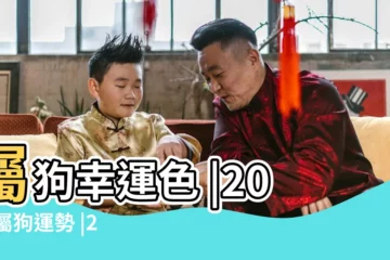 【狗屬性和哪個衝突】屬狗幸運色 |2024屬狗運勢 |2024屬狗幾歲 |