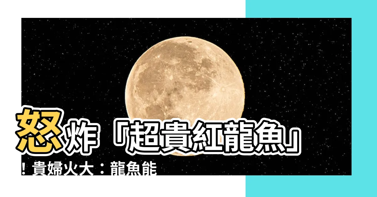 【紅龍魚可以吃嗎】怒炸「超貴紅龍魚」！貴婦火大：龍魚能吃嗎？