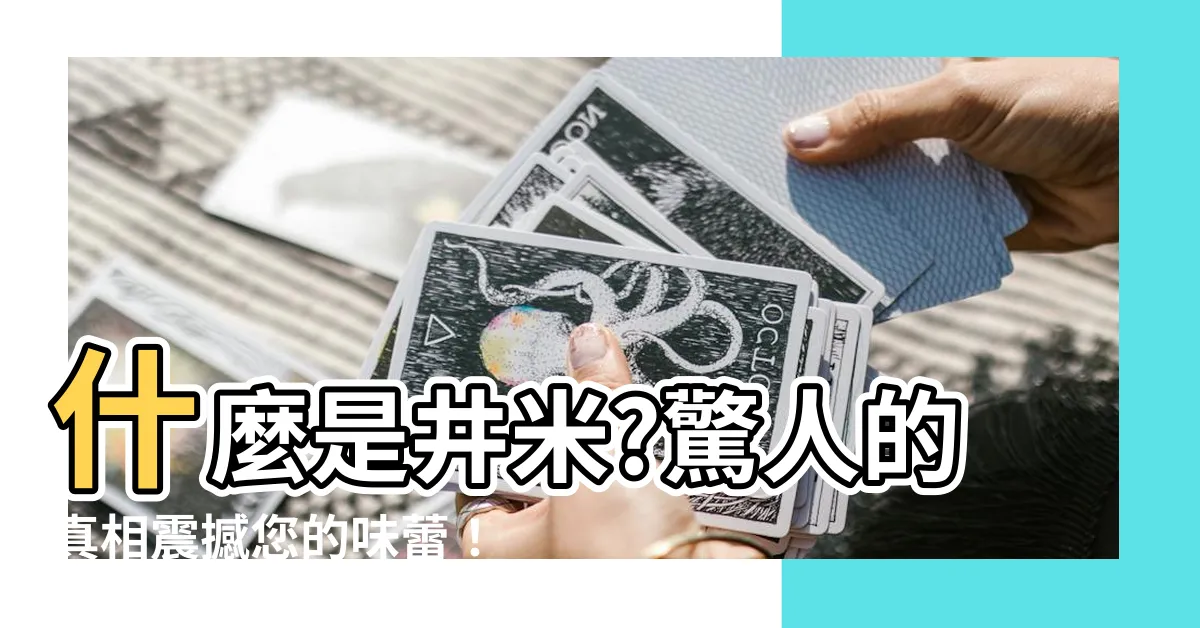 【井米是什麼米】什麼是井米?驚人的真相震撼您的味蕾！