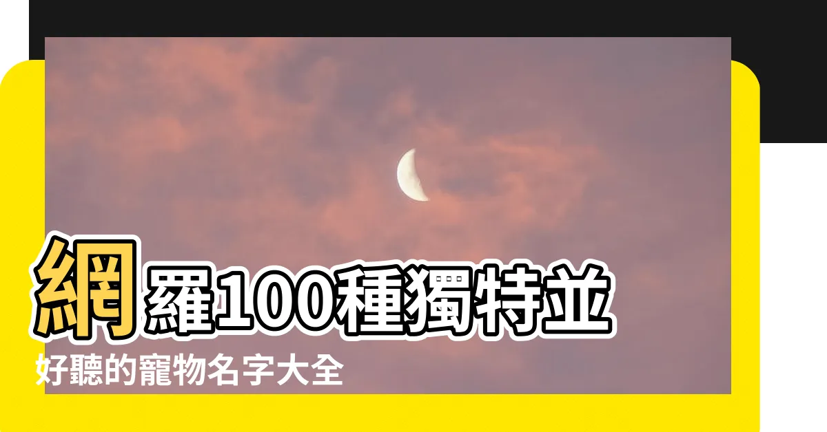 【寵物名字大全貓咪名字】網羅100種獨特並好聽的寵物名字大全－專為貓咪設計