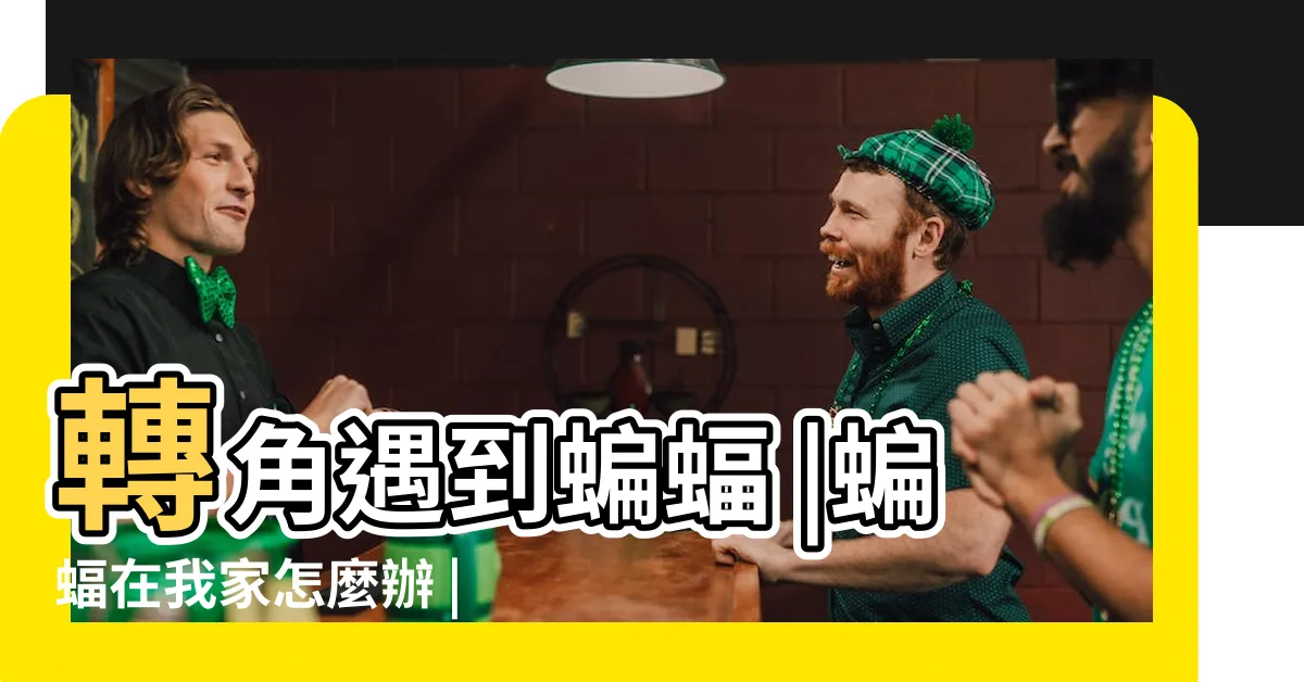 【家中有蝙蝠】轉角遇到蝙蝠 |蝙蝠在我家怎麼辦 |家裡有蝙蝠跑進來怎麼辦 |