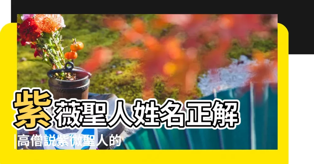 紫薇聖人姓名正解 |高僧説紫微聖人的名字 |紫微聖人的姓和名 |【紫薇聖人姓氏】