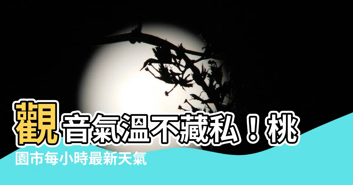 【觀音温度】觀音氣温不藏私！桃園市每小時最新天氣預報一手掌握