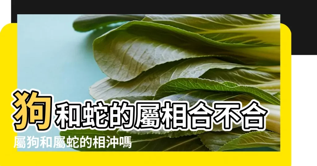 狗和蛇的屬相合不合屬狗和屬蛇的相沖嗎 |蛇和狗的屬相合不合 |屬狗和屬蛇的合不合 |【屬狗和屬蛇的人合不合】