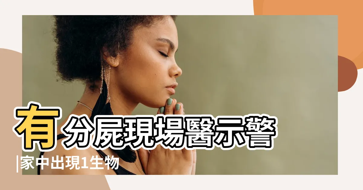 【家裡突然出現很多蜘蛛】有分屍現場醫示警 |家中出現1生物 |同淪塵蟎 |