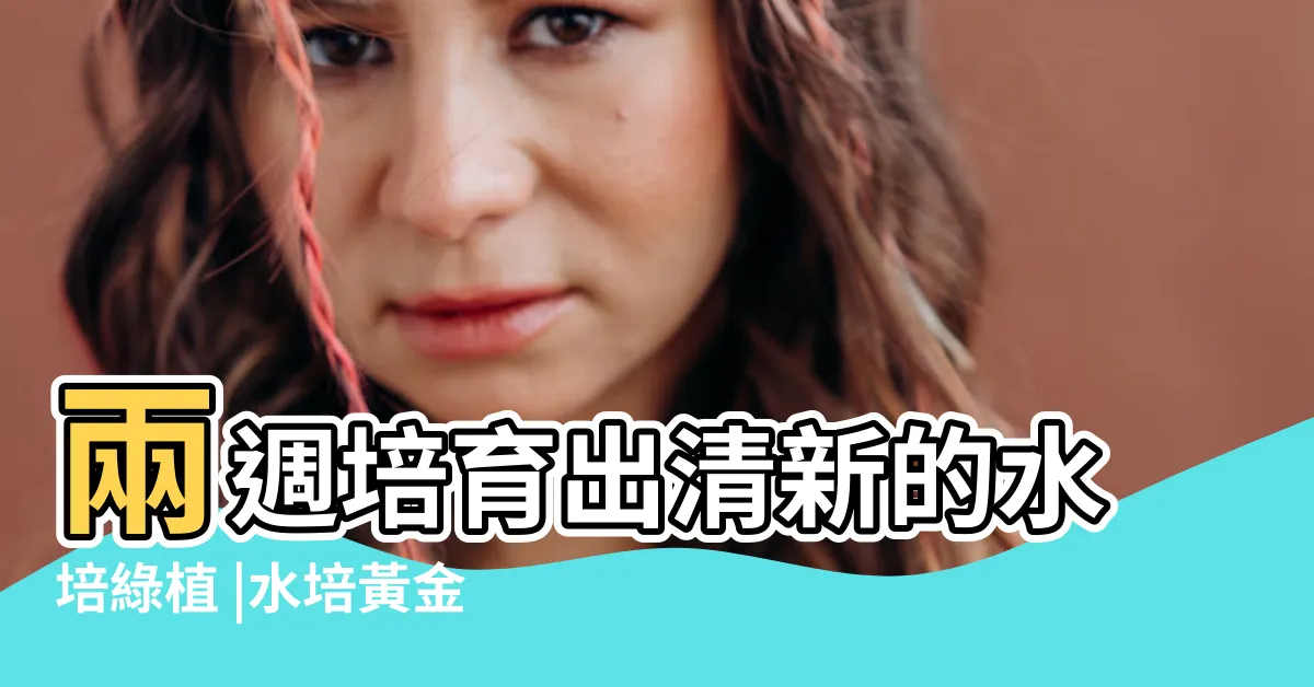 【黃金葛水種】兩週培育出清新的水培綠植 |水培黃金葛怎樣養殖長得更好 |水培黃金葛也爛根 |