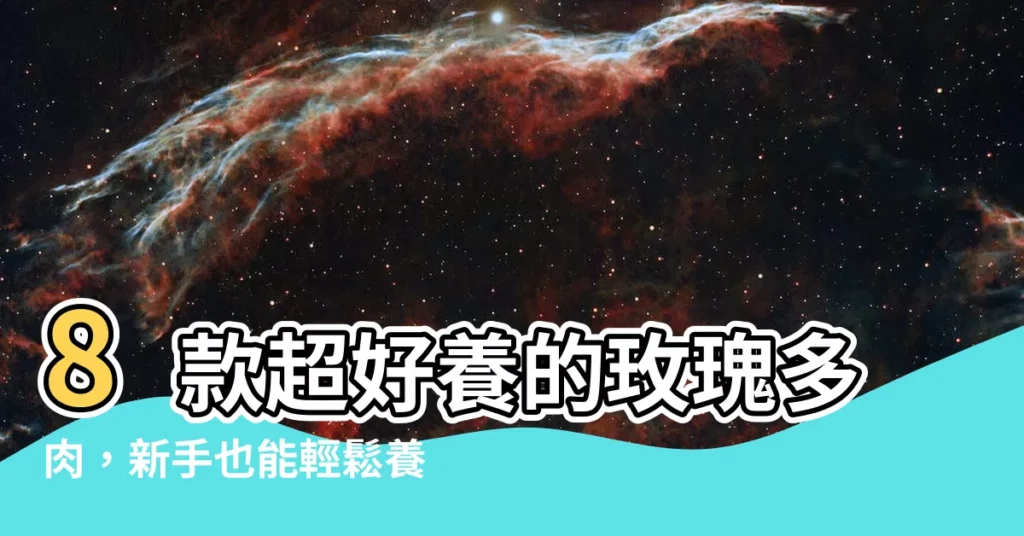【多肉 玫瑰】8款超好養的玫瑰多肉，新手也能輕鬆養出粉嫩多肉森林！