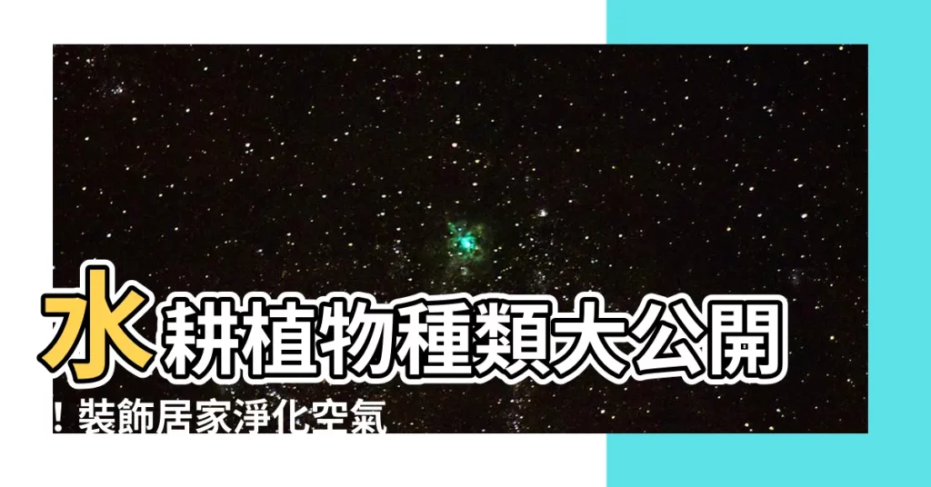 【水耕植物種類】水耕植物種類大公開！裝飾居家淨化空氣一舉兩得