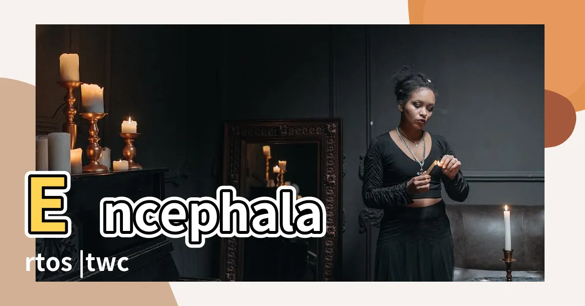 【非洲藍葉蘇鐵】Encephalartos |twcaudex |三刺非洲原生藍葉蘇鐵 |