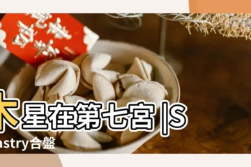 【木星七宮對象類型】木星在第七宮 |Synastry合盤宮位之木星落入七宮 |2020年新修版 |