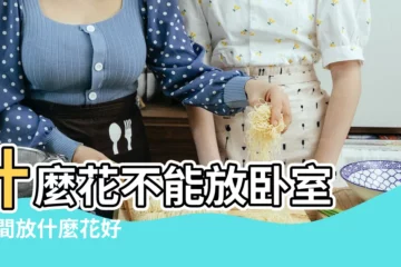 【什麼花在卧室不好】什麼花不能放卧室 |房間放什麼花好 |這8種花不能放在卧室 |