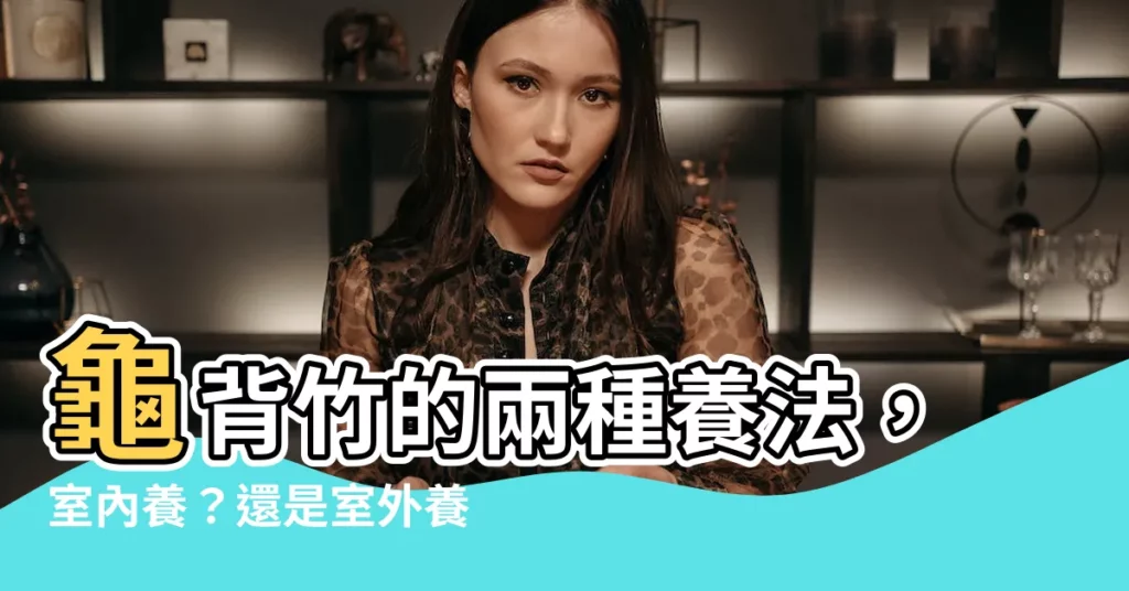 【龜背竹 室外】龜背竹的兩種養法,室內養?還是室外養?看完秒懂!